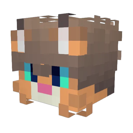 Memeslavv Minecraft avatar head, 3D render