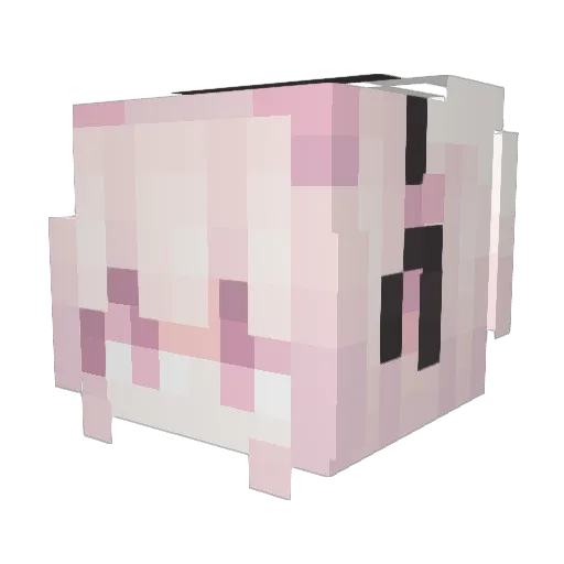 MemoryOnTop Minecraft avatar head, 3D render