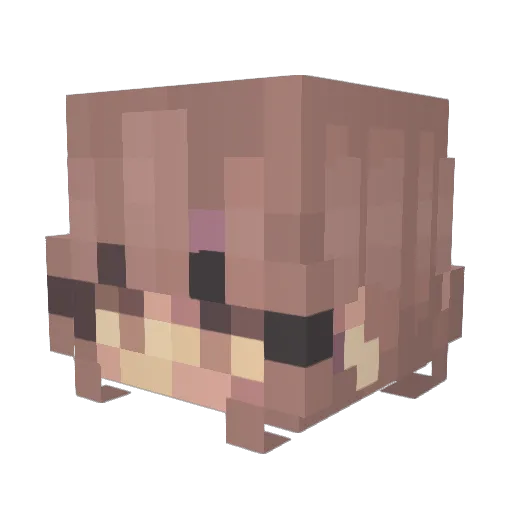 MemoryWatcher Minecraft avatar head, 3D render