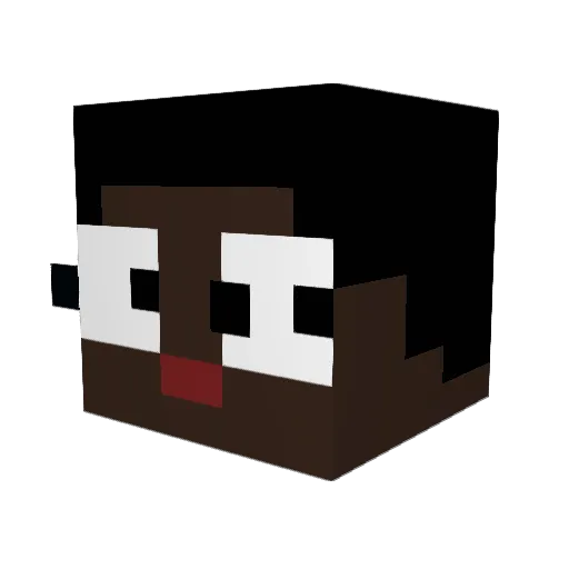 MenLicker3000 Minecraft avatar head, 3D render