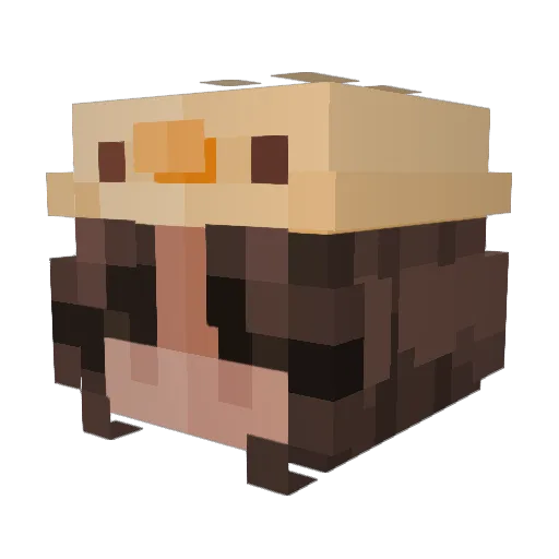 MenaWena Minecraft avatar head, 3D render
