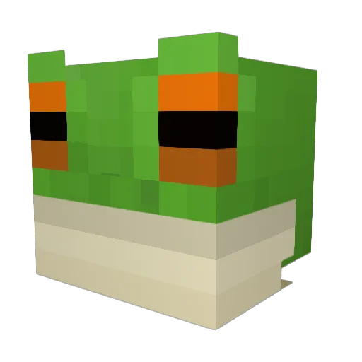 MenacingPigeon Minecraft avatar head, 3D render