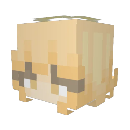 Mendel_kong Minecraft avatar head, 3D render