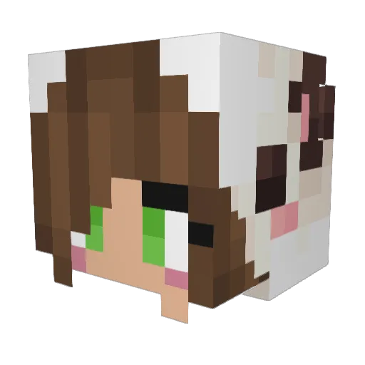Mendes1606 Minecraft avatar head, 3D render