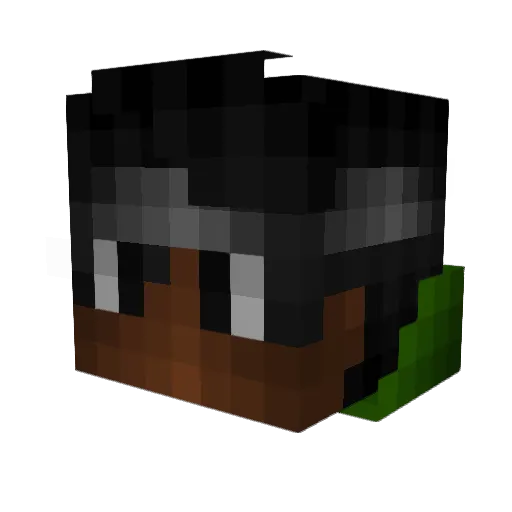 Mendingao123 Minecraft avatar head, 3D render
