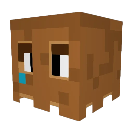 MeneerPim Minecraft avatar head, 3D render