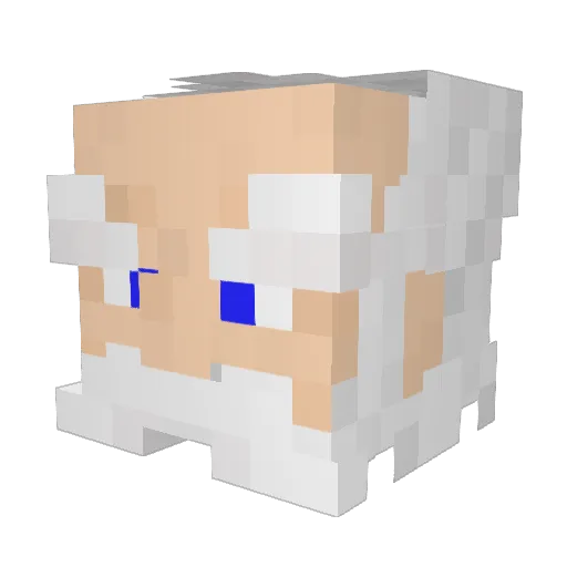 MeneerRobin Minecraft avatar head, 3D render