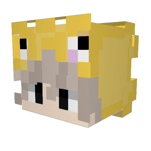 MenelX__ Minecraft avatar head, 3D render