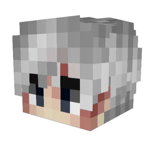 Menezinn11 Minecraft avatar head, 3D render