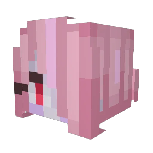 MeninohNathan Minecraft avatar head, 3D render