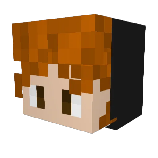 Mennonite1 Minecraft avatar head, 3D render