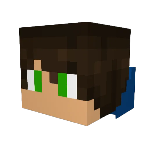 MenorInfrator_Br Minecraft avatar head, 3D render