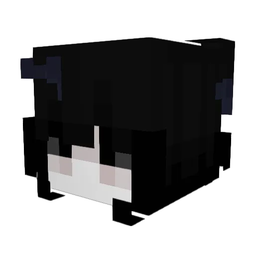 Menorial_future Minecraft avatar head, 3D render