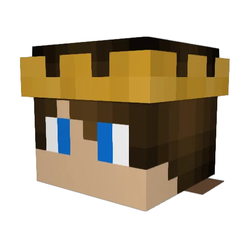 Menron192 Minecraft avatar head, 3D render