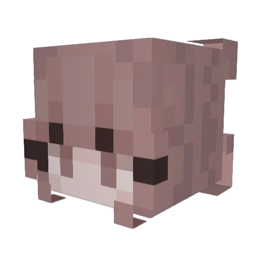 Mentabors Minecraft avatar head, 3D render
