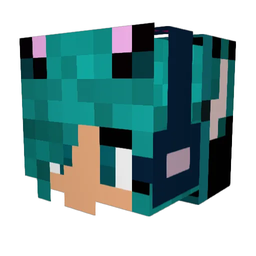 MentallyInsane6 Minecraft avatar head, 3D render
