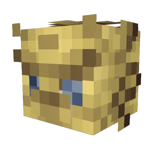 MentallyStoopid Minecraft avatar head, 3D render