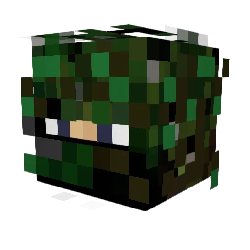 Meo98 Minecraft avatar head, 3D render