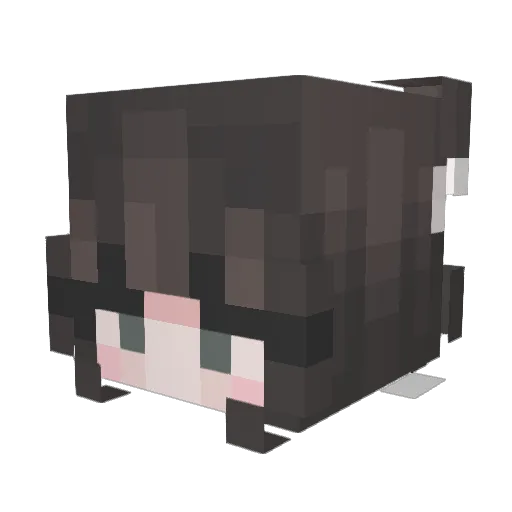 MeoLunar Minecraft avatar head, 3D render