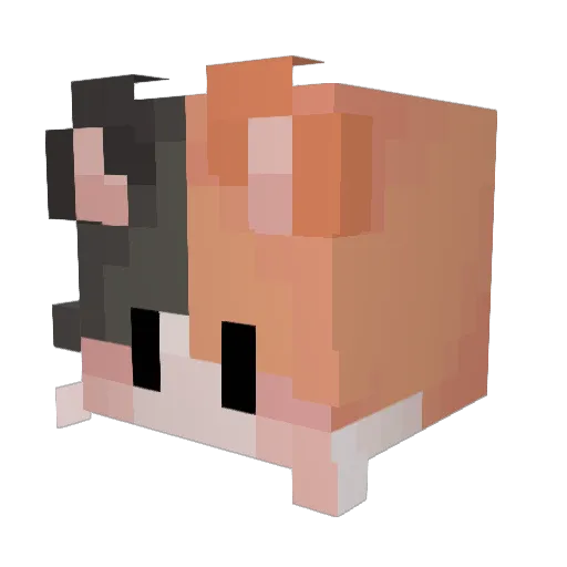 MeoNguOfficial Minecraft avatar head, 3D render