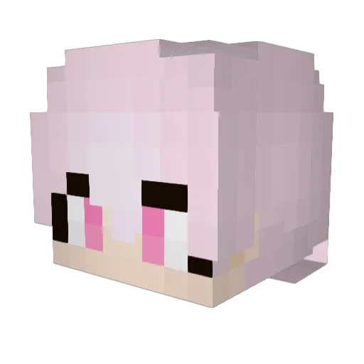 Meo_Y Minecraft avatar head, 3D render