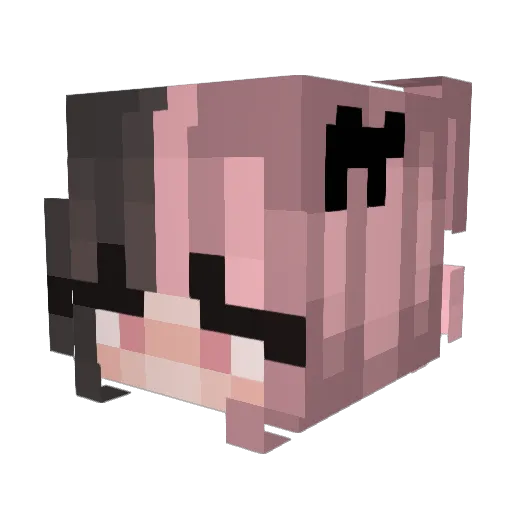 Meocu Minecraft avatar head, 3D render