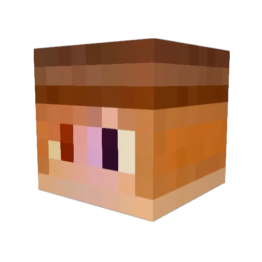 Meorung Minecraft avatar head, 3D render