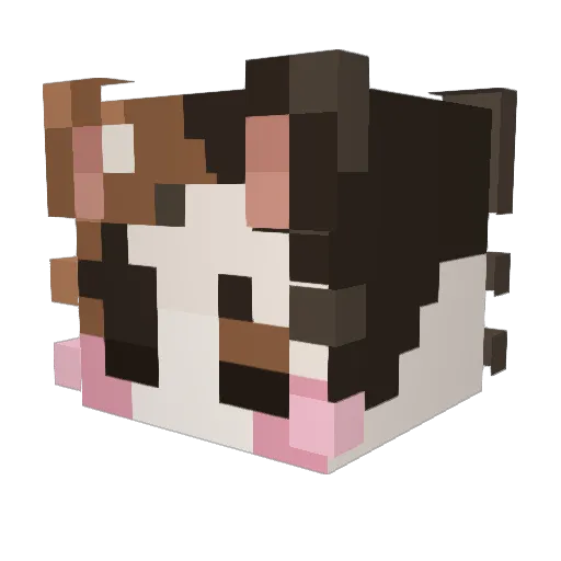 Meow1117 Minecraft avatar head, 3D render