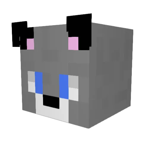 MeowDerpyCatMeow Minecraft avatar head, 3D render