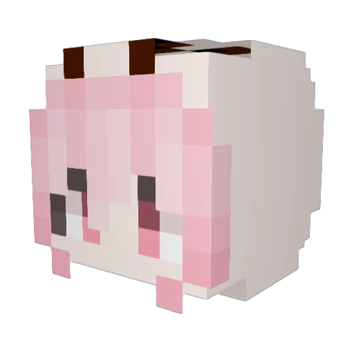 MeowEagle Minecraft avatar head, 3D render