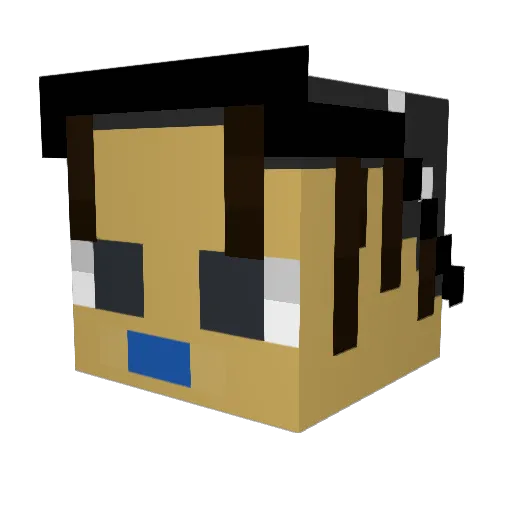 MeowGod17 Minecraft avatar head, 3D render