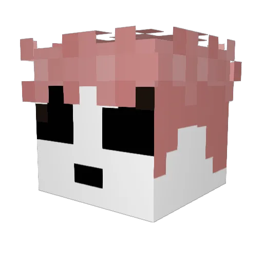 MeowHowdy Minecraft avatar head, 3D render