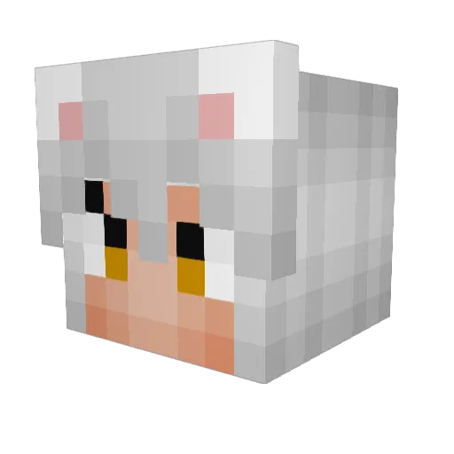 MeowMeowCatChow Minecraft avatar head, 3D render