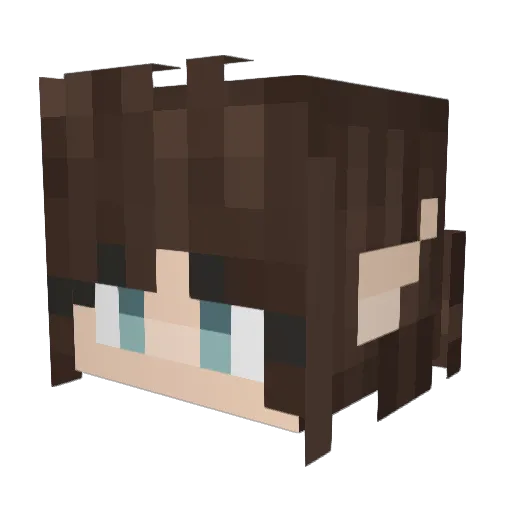 MeowMeowMan_ Minecraft avatar head, 3D render