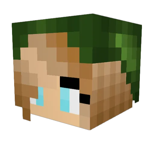 MeowMix23 Minecraft avatar head, 3D render