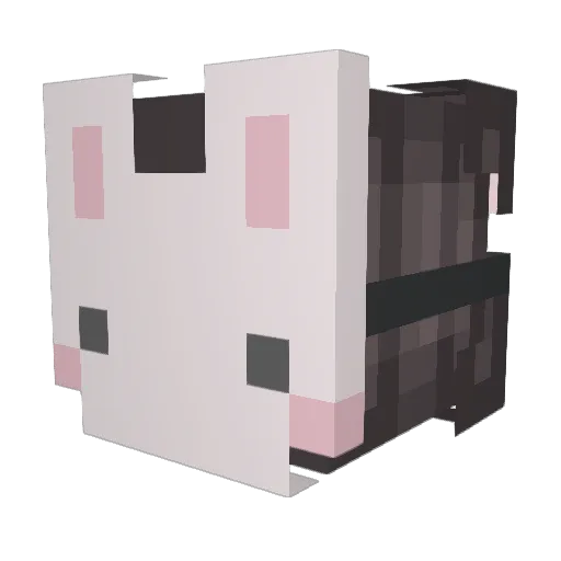 MeowMix66 Minecraft avatar head, 3D render