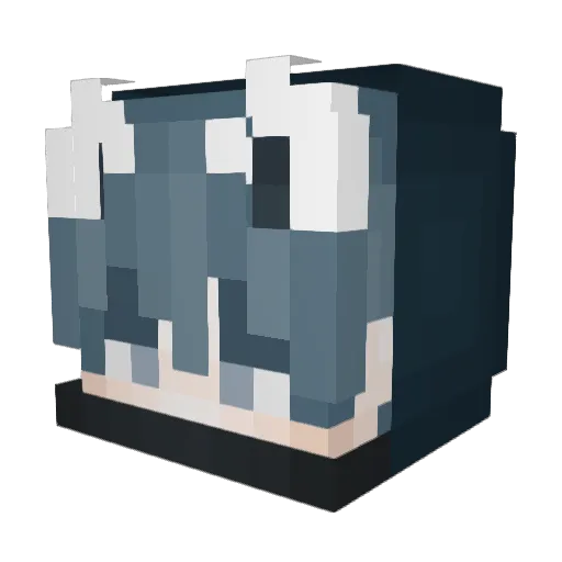 MeowNinja9 Minecraft avatar head, 3D render