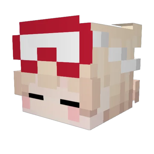 MeowOnyx Minecraft avatar head, 3D render