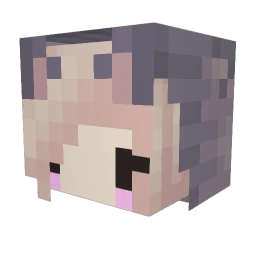 MeowSay112 Minecraft avatar head, 3D render