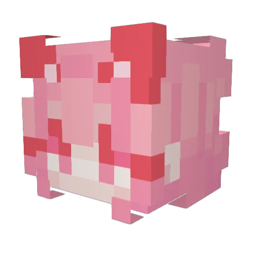 MeowTheCat123 Minecraft avatar head, 3D render