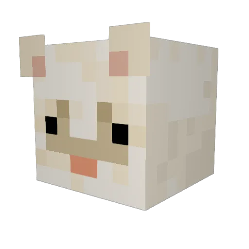 MeowTopo Minecraft avatar head, 3D render
