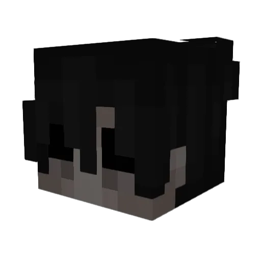 MeowZeeDong Minecraft avatar head, 3D render