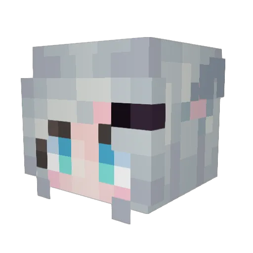 Meow_002 Minecraft avatar head, 3D render
