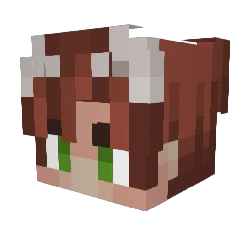 Meow______ Minecraft avatar head, 3D render