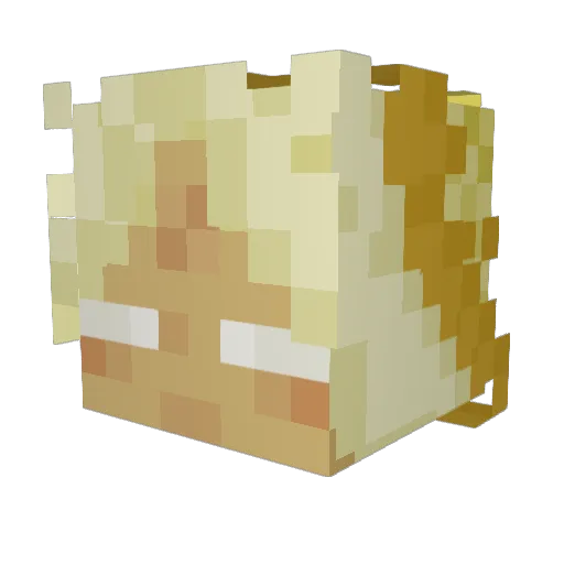 Meow_mon_ Minecraft avatar head, 3D render