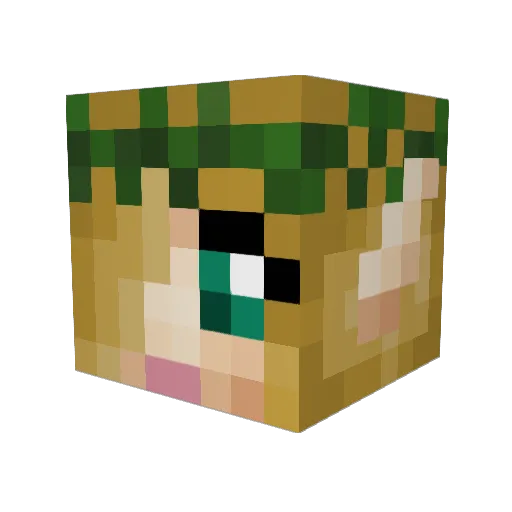 Meowcato Minecraft avatar head, 3D render
