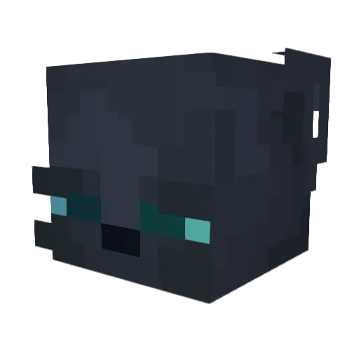 Meowerr1T Minecraft avatar head, 3D render
