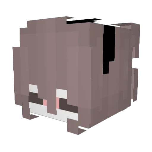 Meowgrl21 Minecraft avatar head, 3D render