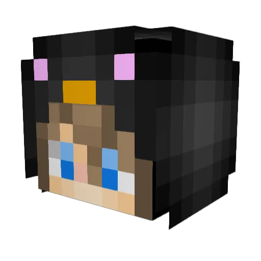 MeowingPenguin Minecraft avatar head, 3D render