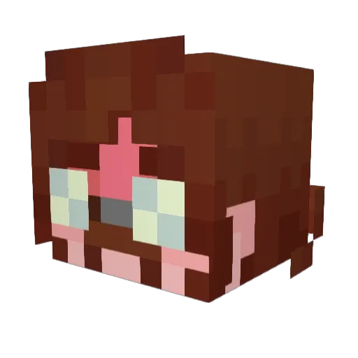 MeowlMcCartney Minecraft avatar head, 3D render